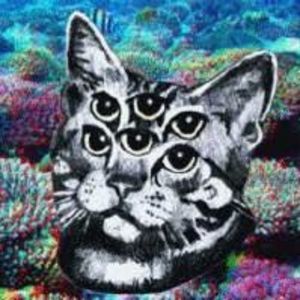 Meet your Posher, Jeffrey